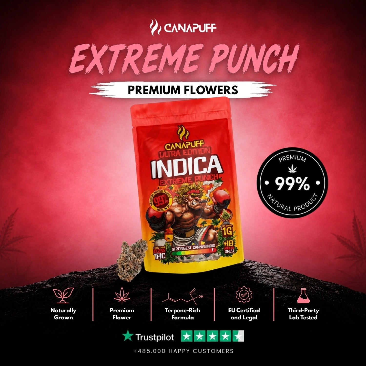 Indica Blüten Extreme Punch Ultra Edition 99%