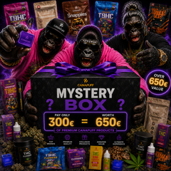 Mystery Box XXL