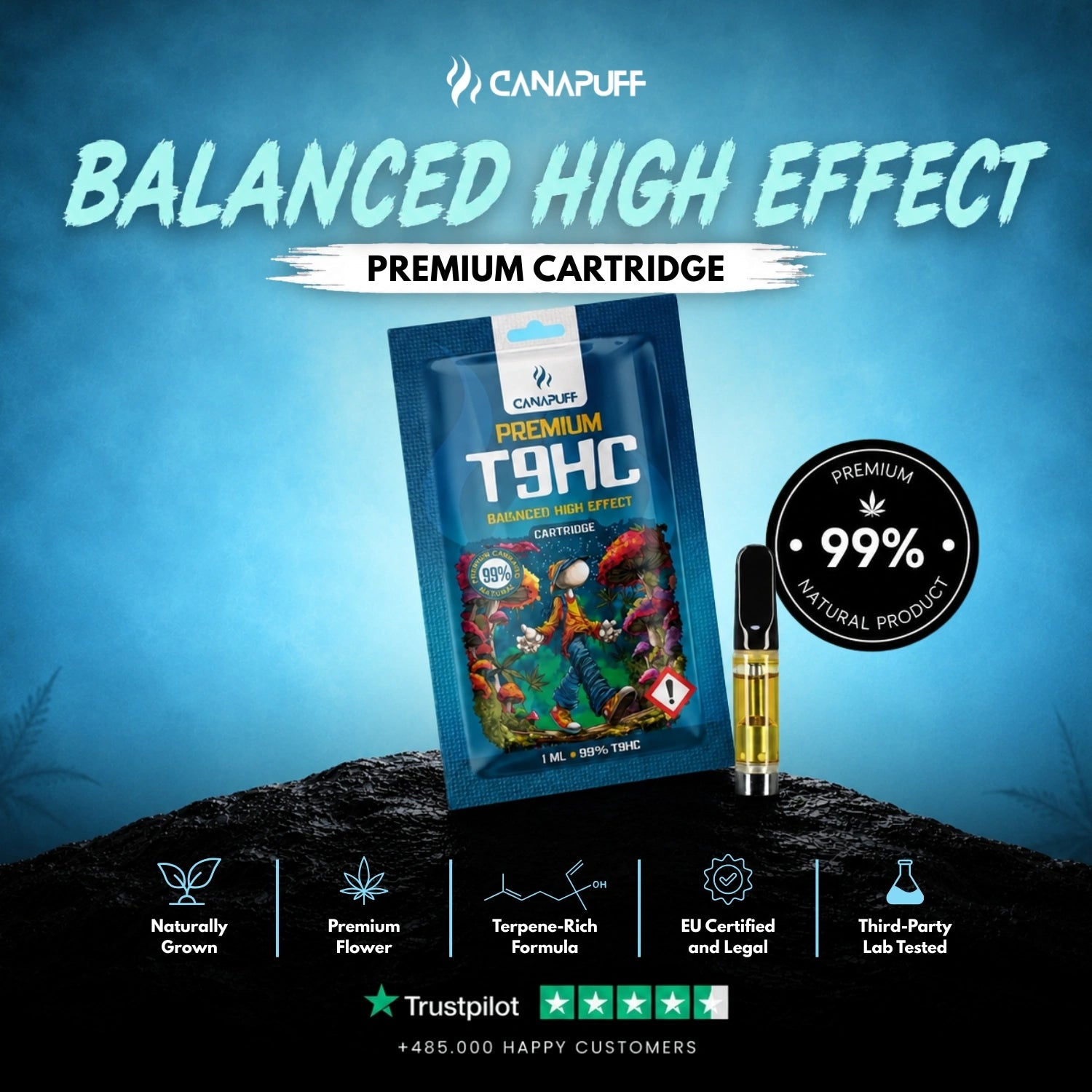 T9HC Kartusche Balanced 99%