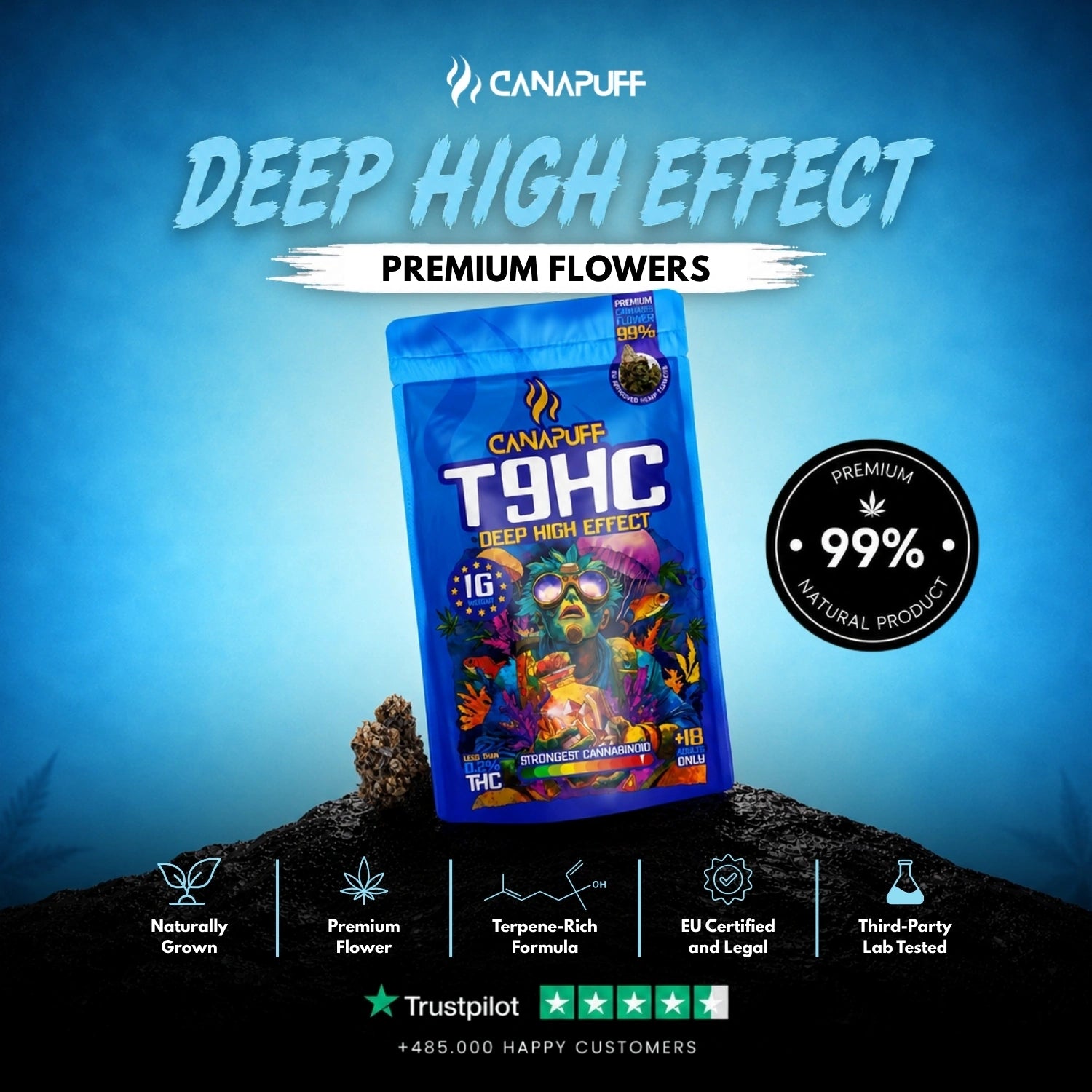 T9HC Blüten Deep 99%