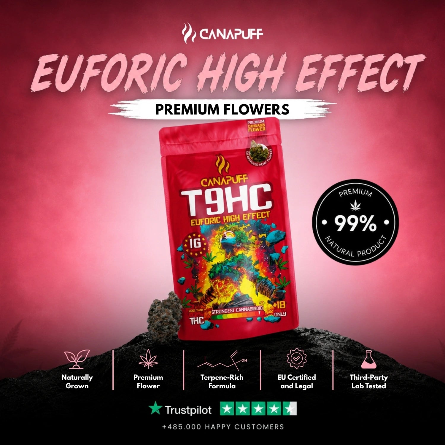 T9HC Blüten Euforic 99%
