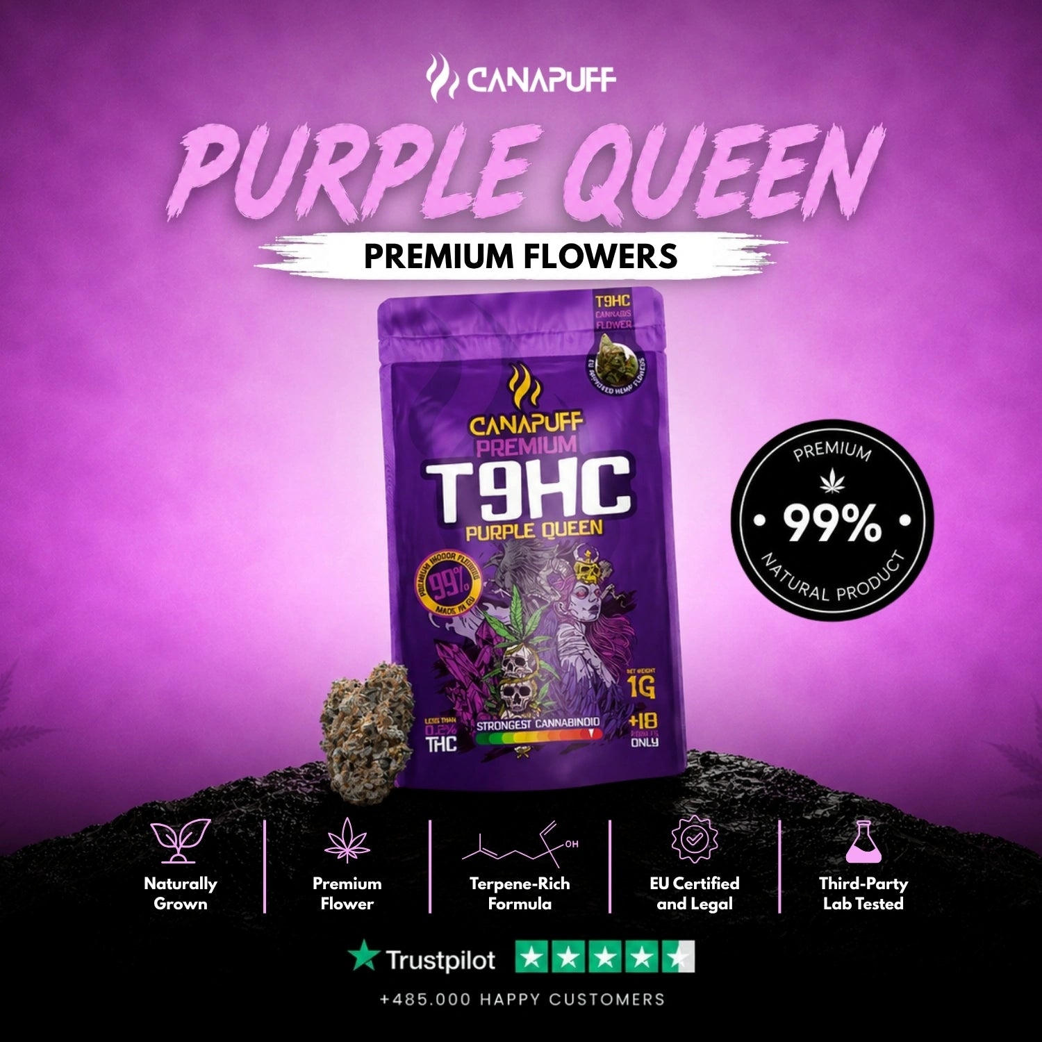T9HC Blüten Purple Queen 99%