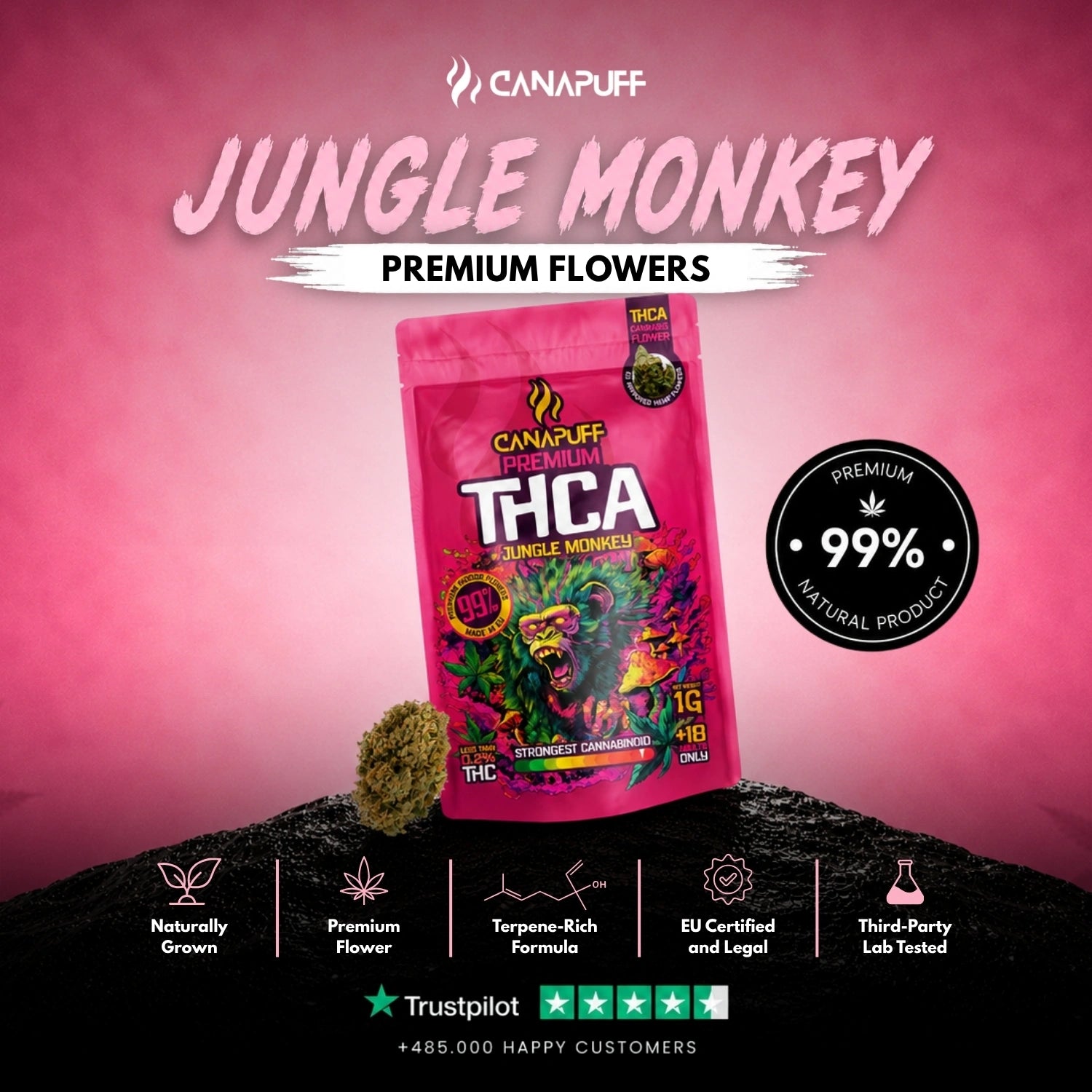 THCA Blüten Jungle Monkey 99%