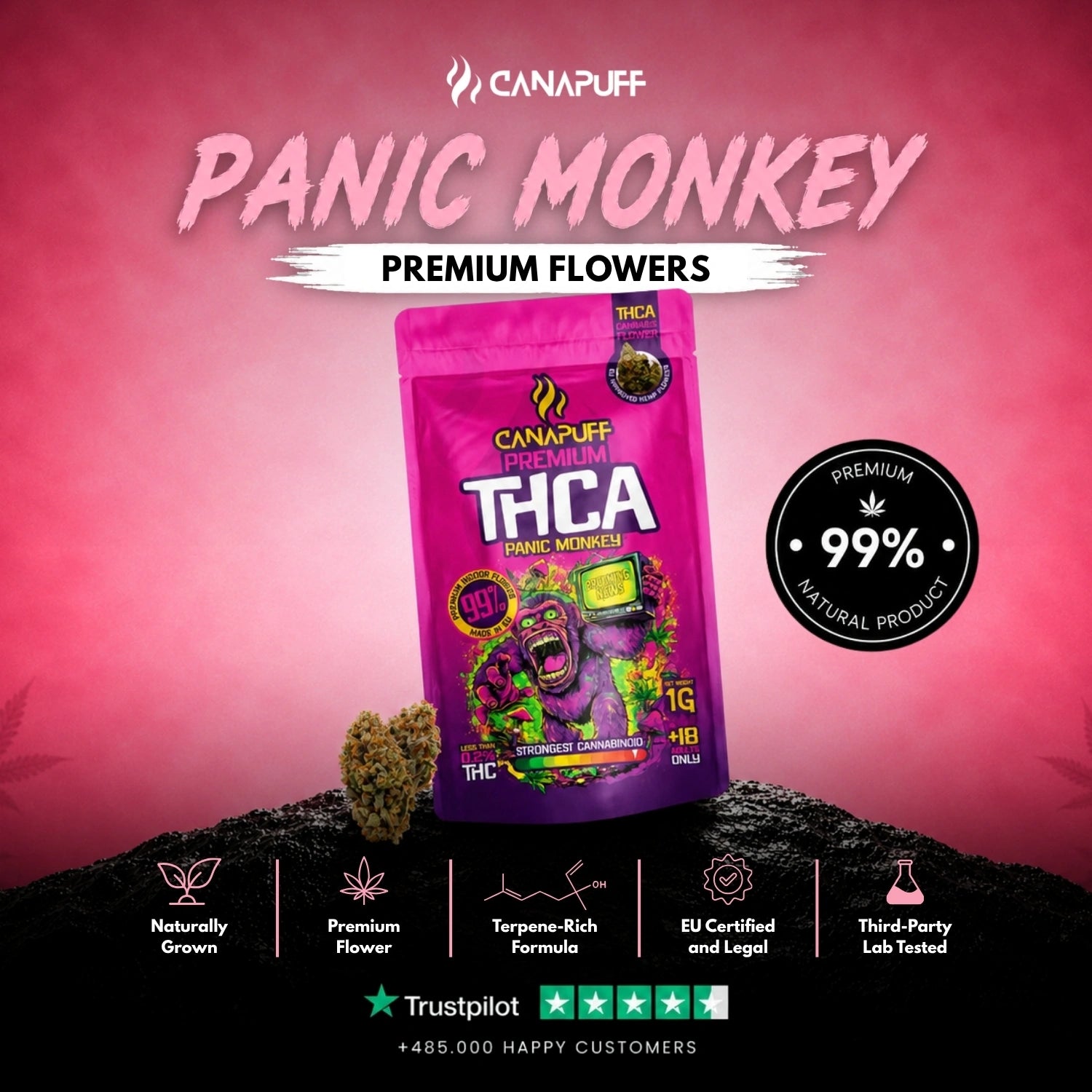 THCA Blüten Panic Monkey 99%