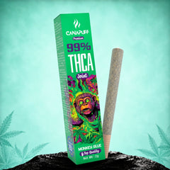 THCA Joint Monkey Glue 99% 2g