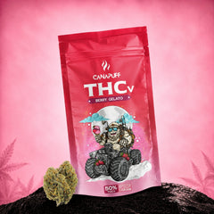 THCv Blüten Berry Gelato 50%