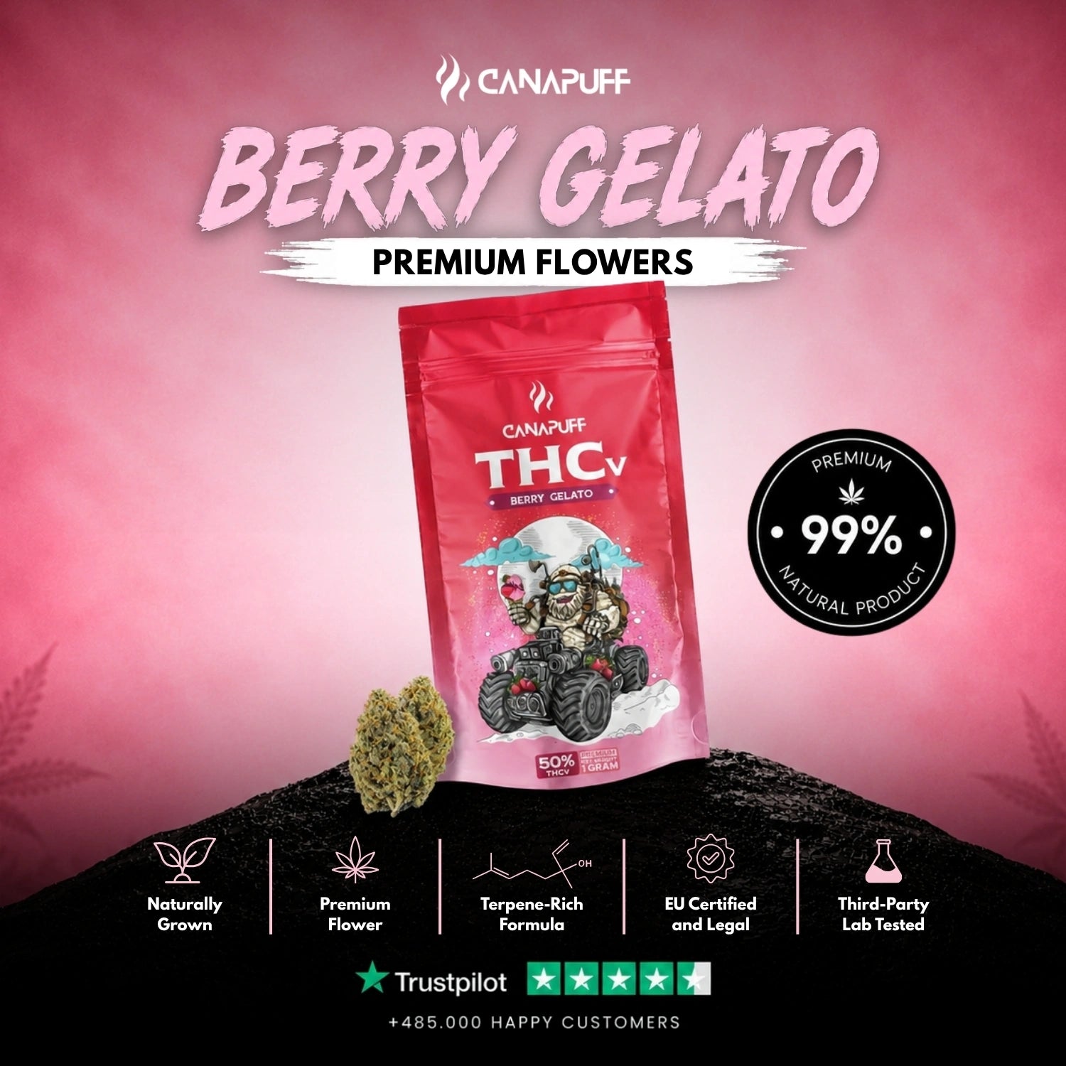 THCv Blüten Berry Gelato 50%