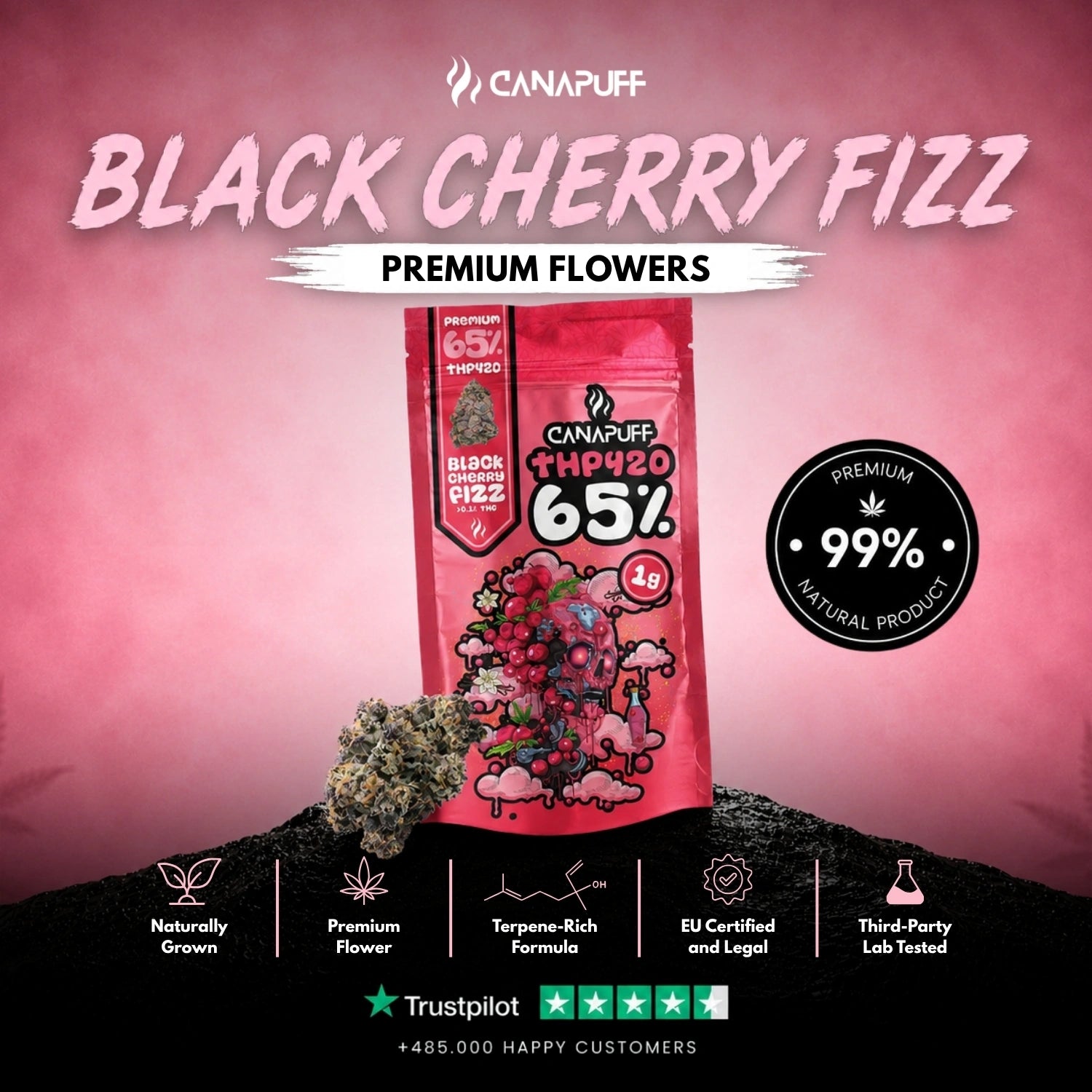 THP420 Blüten Black Cherry Fizz 65%