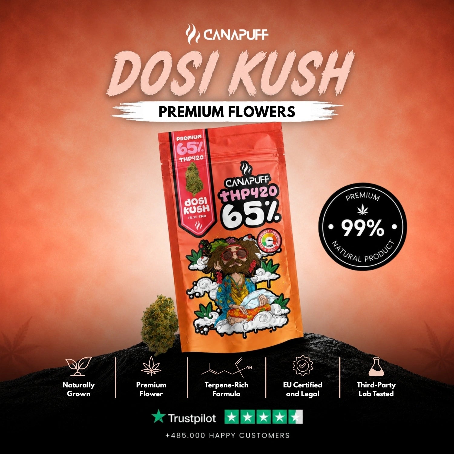 THP420 Blüten Dosi Kush 65%
