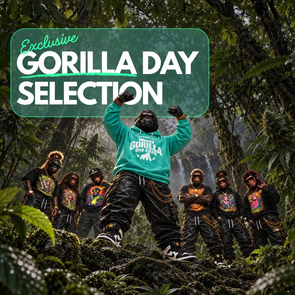 Feiere den Gorilla-Tag. 