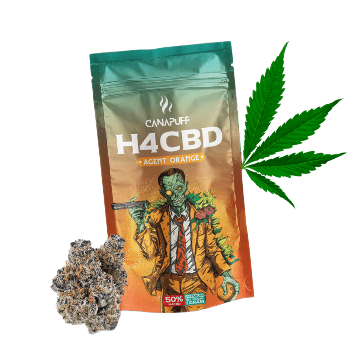 H4CBD Blüten Agent Orange