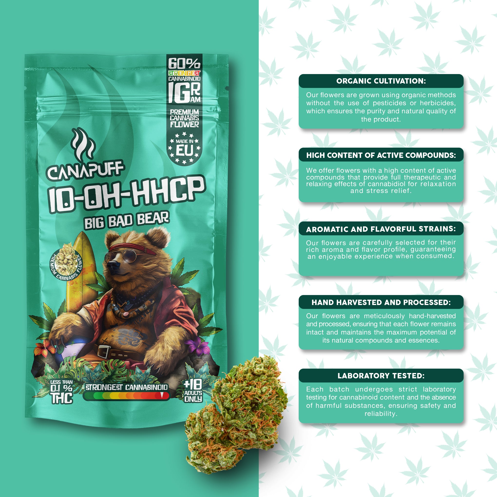 Canapuff - Big Bad Bear 60% - 10-OH-HHCP Blüten
