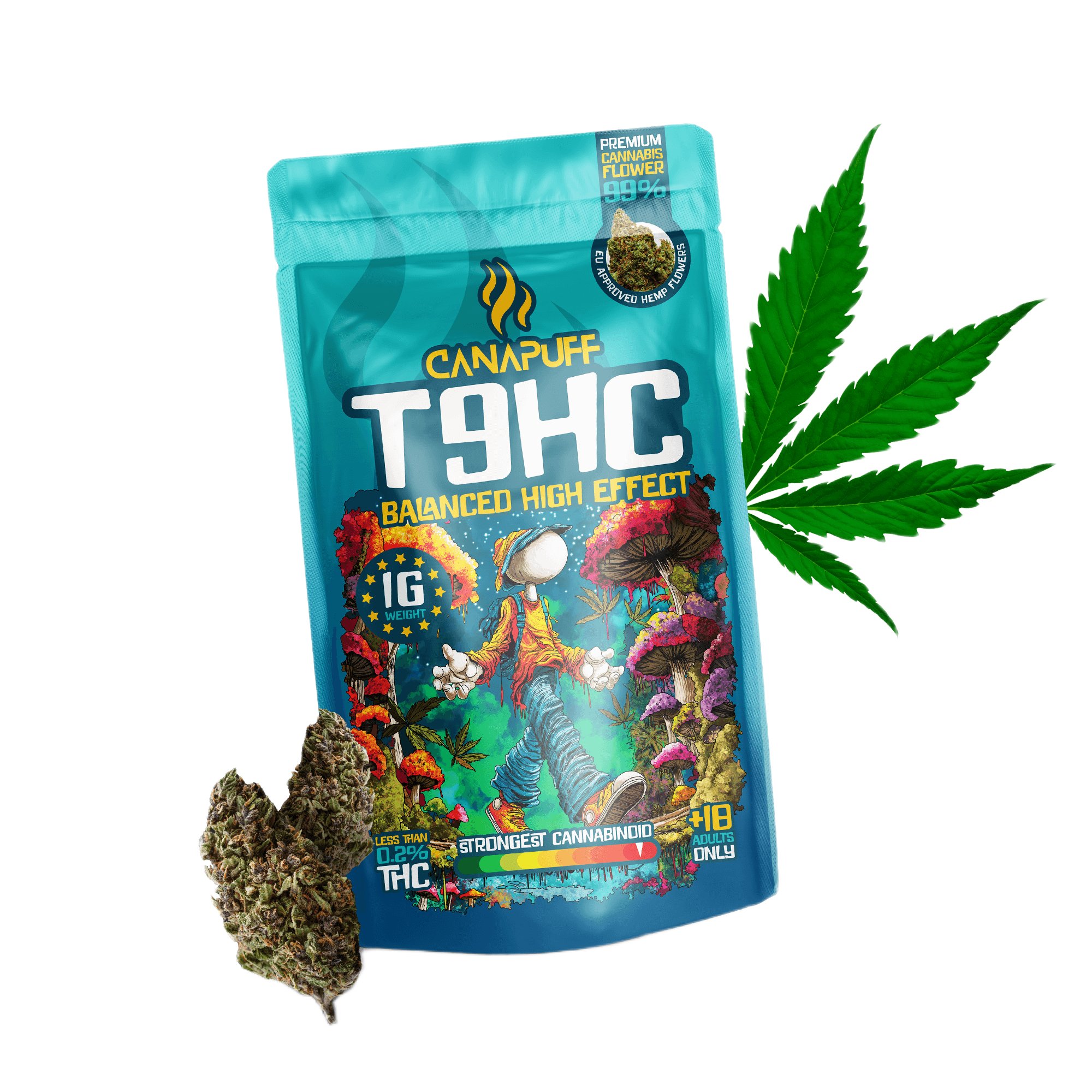 T9HC Blüten Balanced 99%