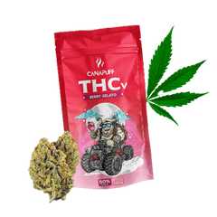 THCv Blüten Berry Gelato 50%