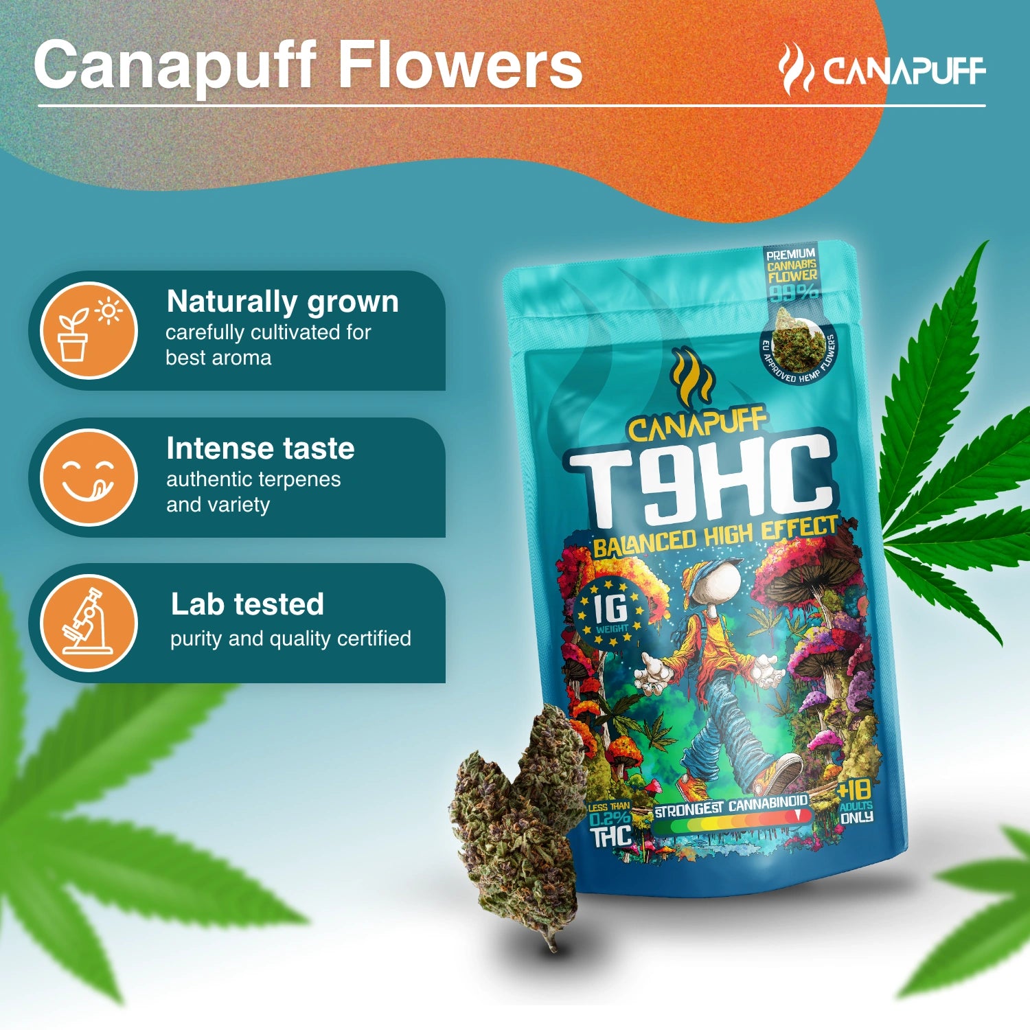Canapuff - Ausgewogen 99% - T9HC Blüten