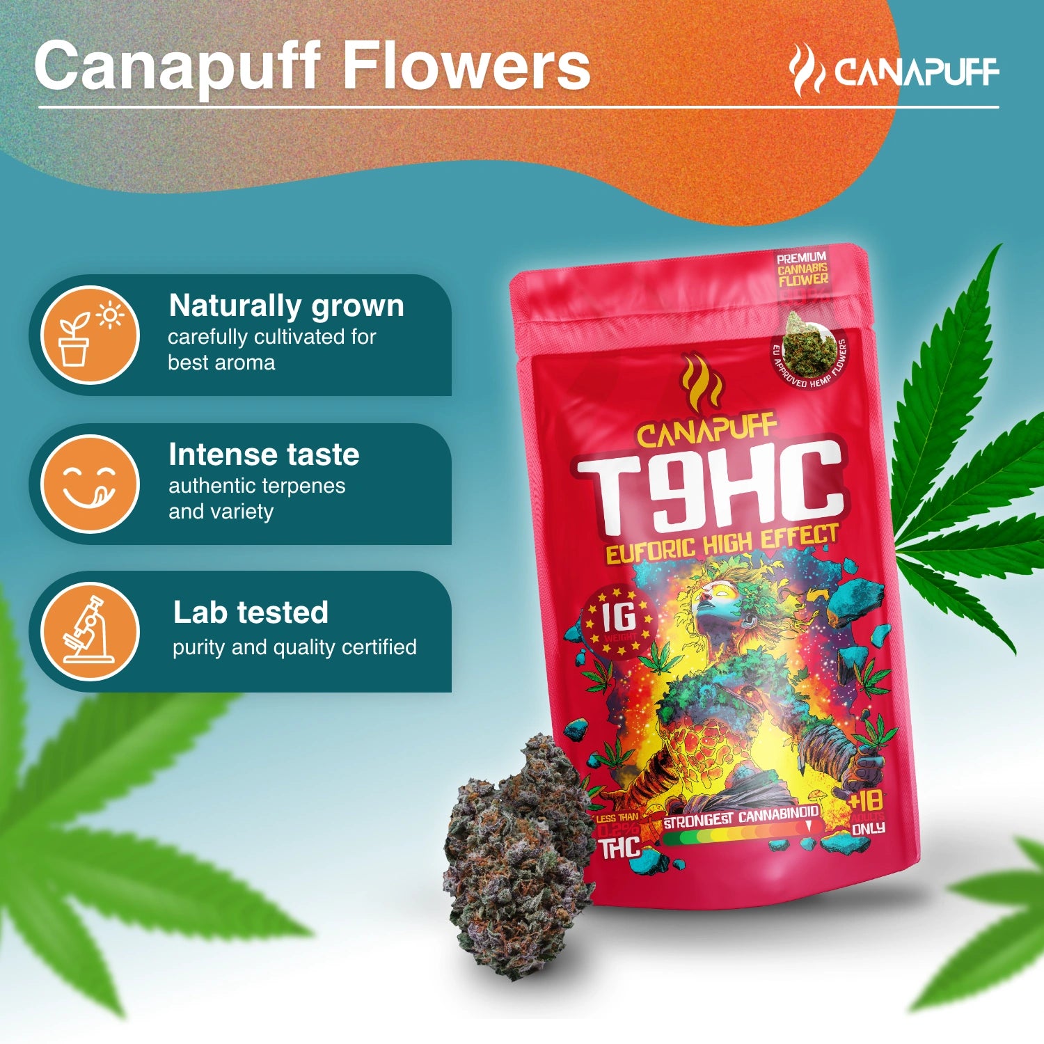 Canapuff - Euforic 99% - T9HC Blüten