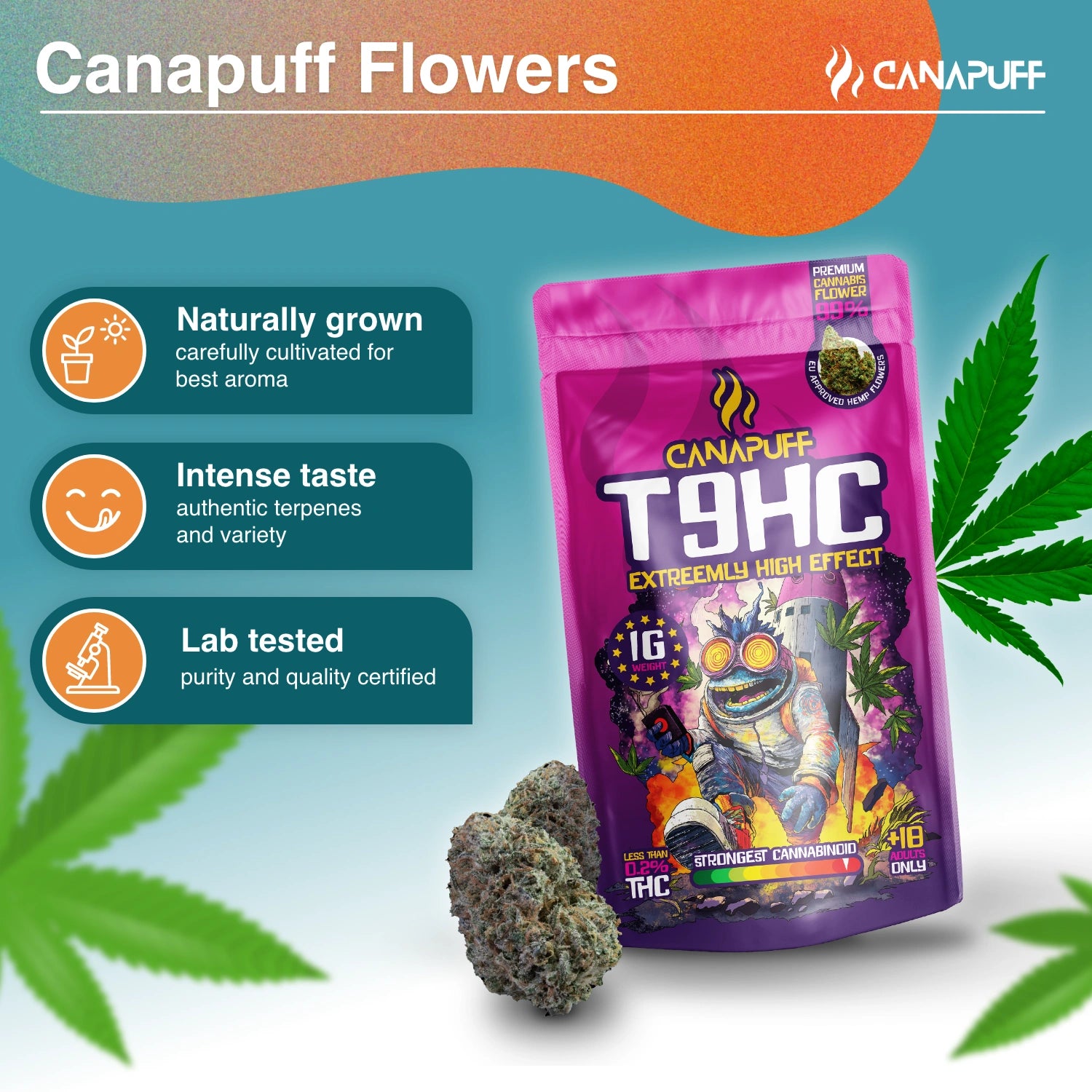 Canapuff - Extrem 99% - T9HC Blüten