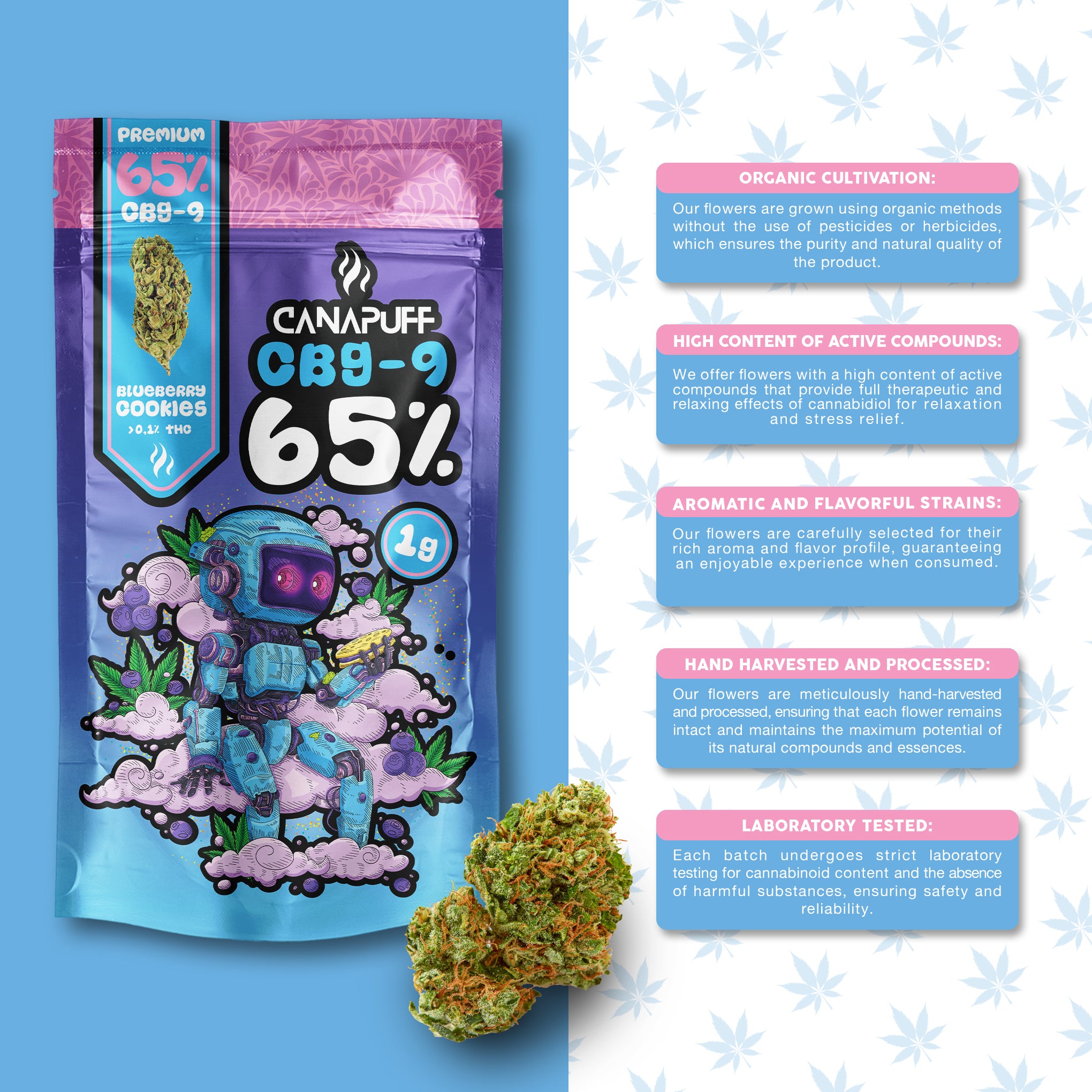 Canapuff - Blueberry Cookie 65% - CBG9 Blüten
