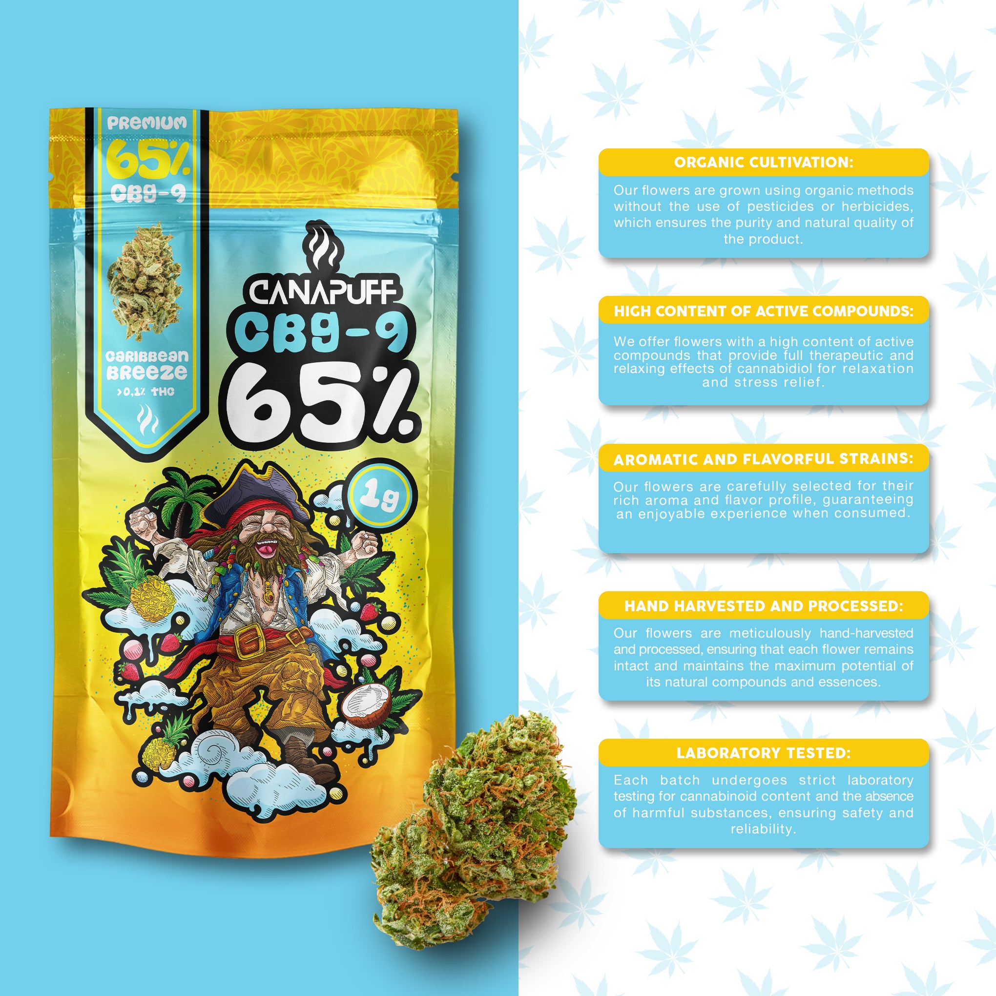 Canapuff - Caribbean Breeze 65% - CBG9 Blüten