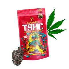 T9HC Blüten Euforic 99%