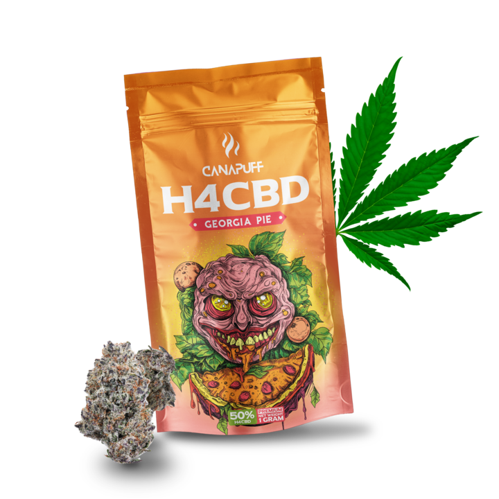Canapuff - Georgia Pie 50% - H4CBD Blüten