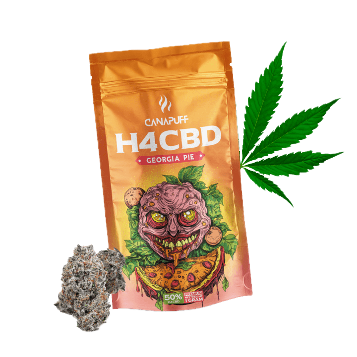 H4CBD Blüten Georgia Pie 50%