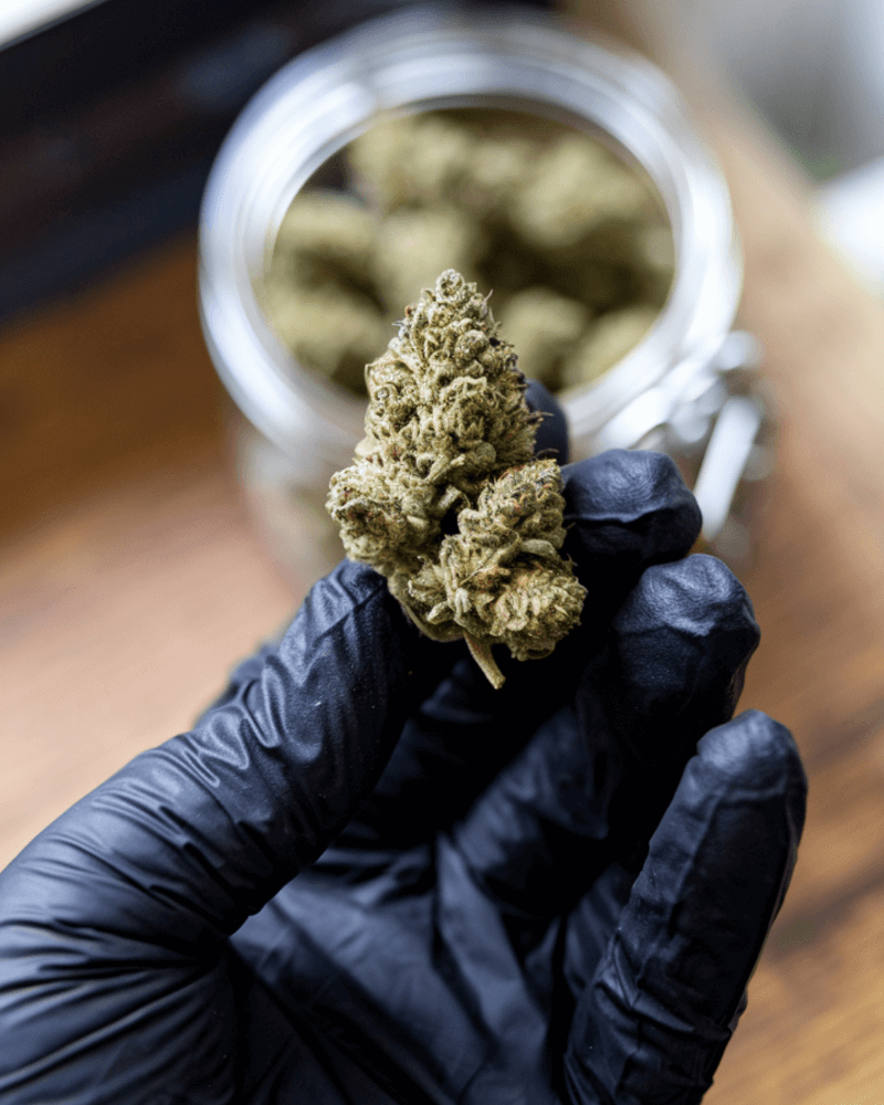 Ist Cannabis in Deutschland legal?