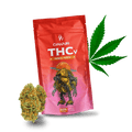 THCv Blüten Papaya Punch 50%