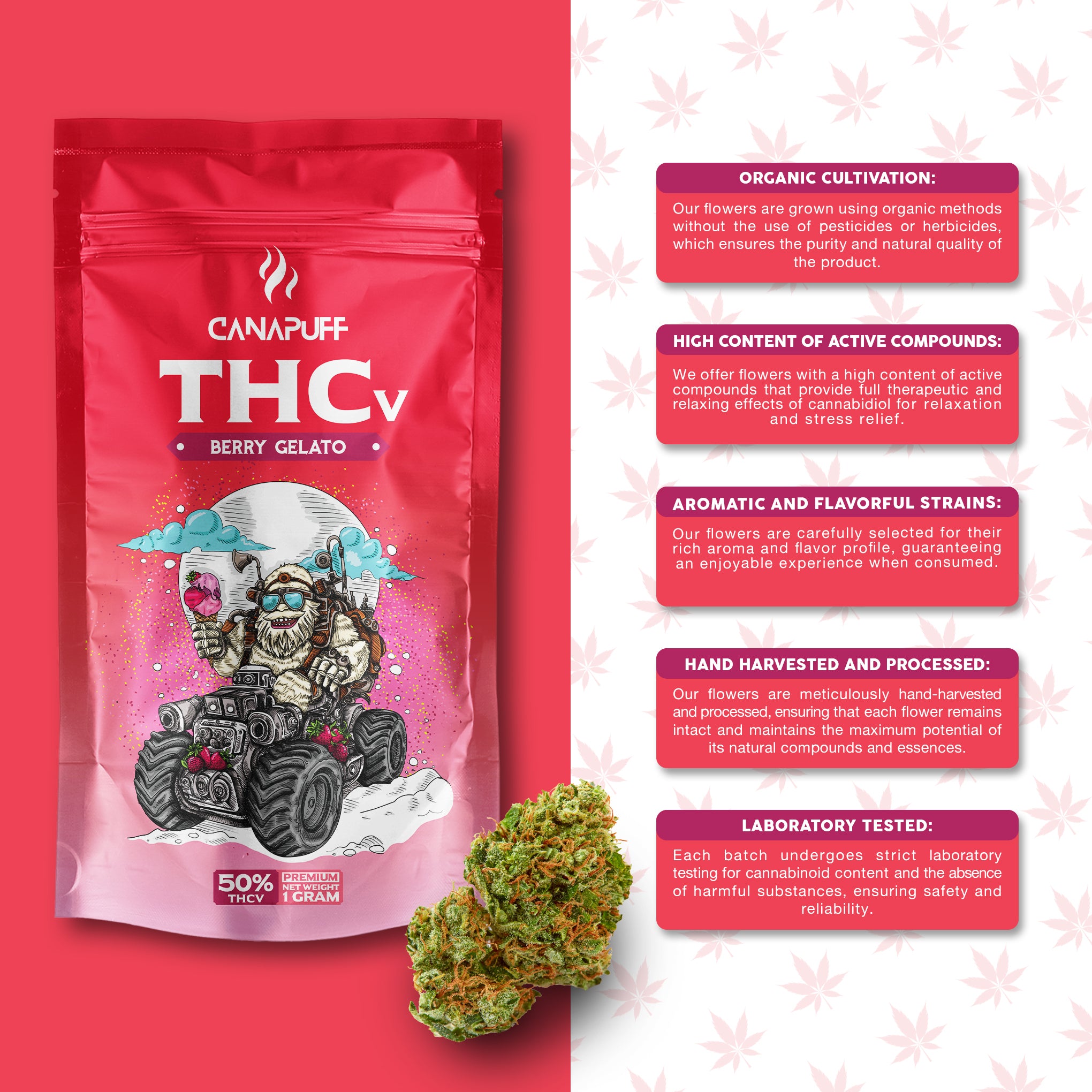 Canapuff - Berry Gelato 50% - THCv Blüten