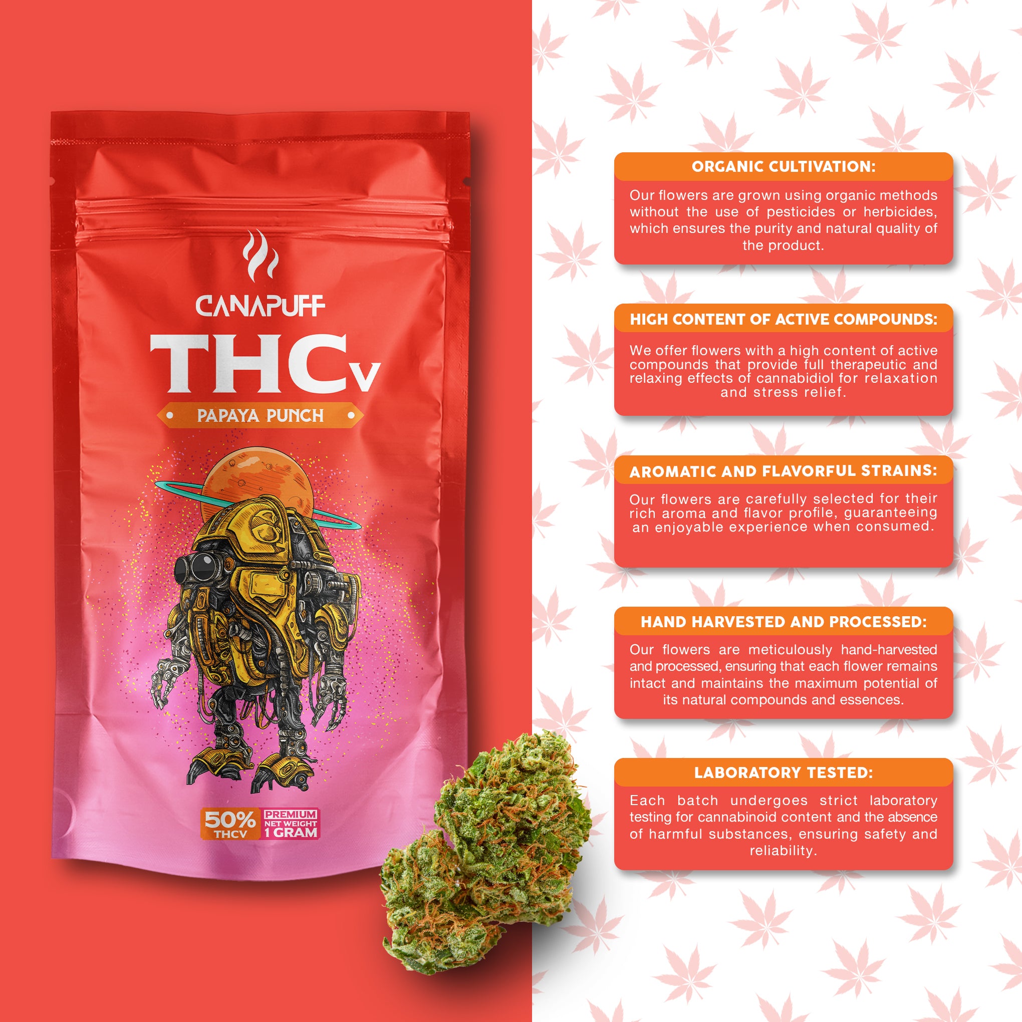 Canapuff - Papaya Punch 50% - THCv Blüten