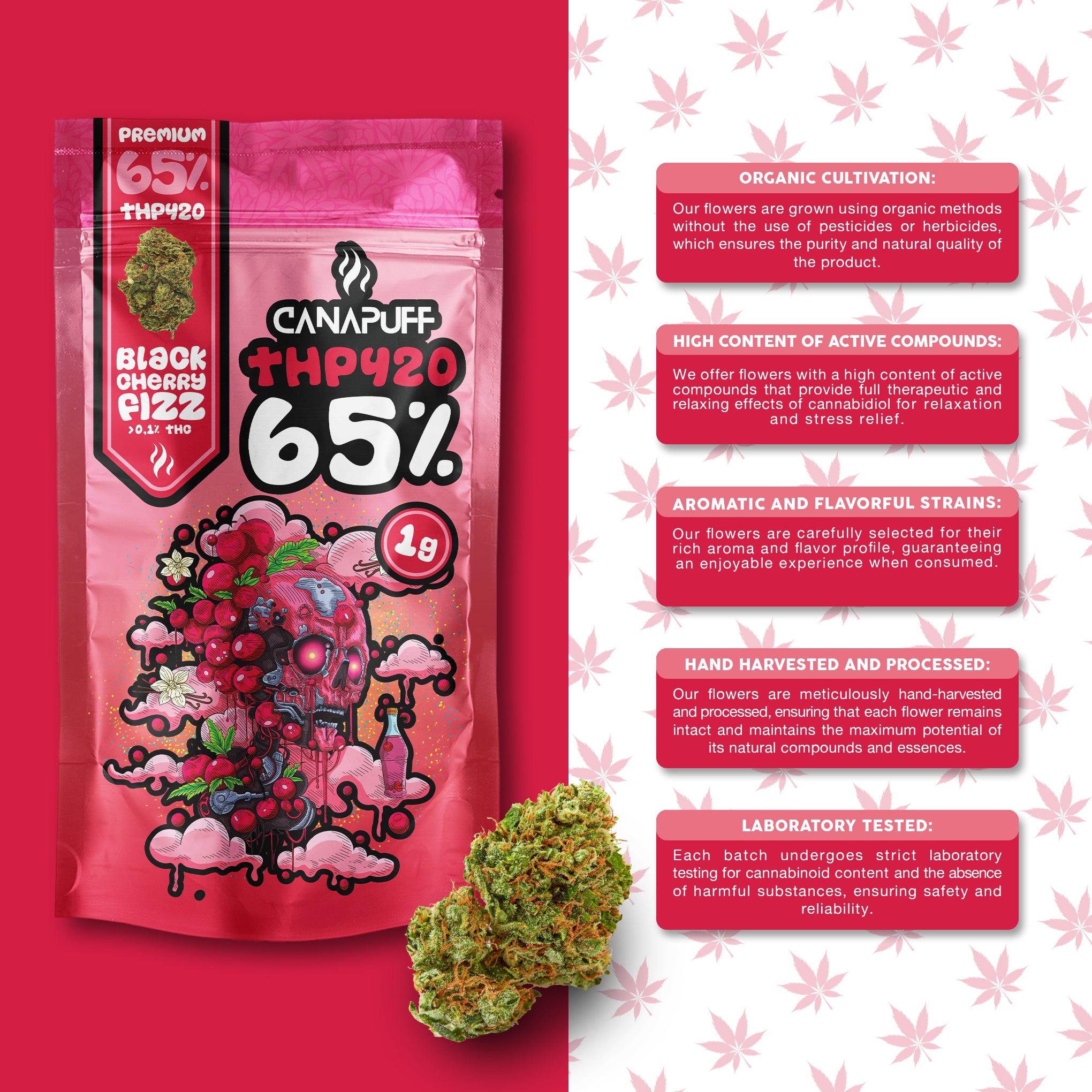 Black Cherry Fizz 65% - THP420 Blüten