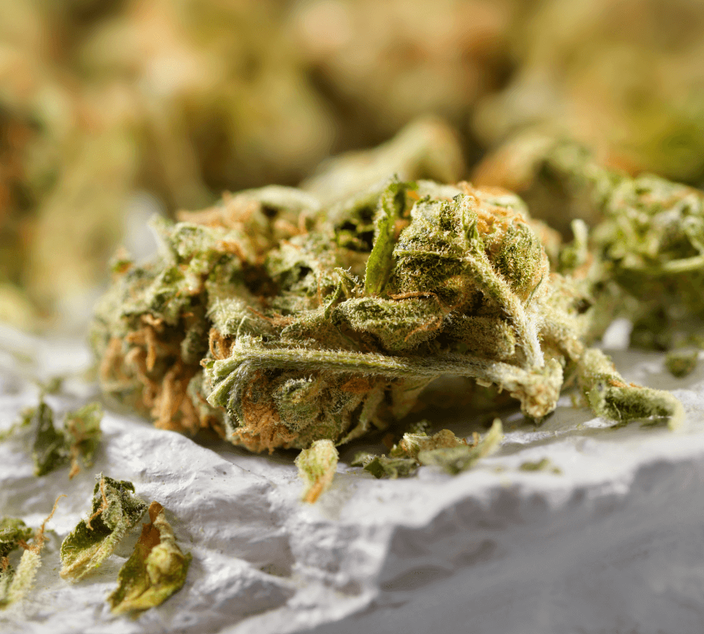 thp420 cannabis flowers