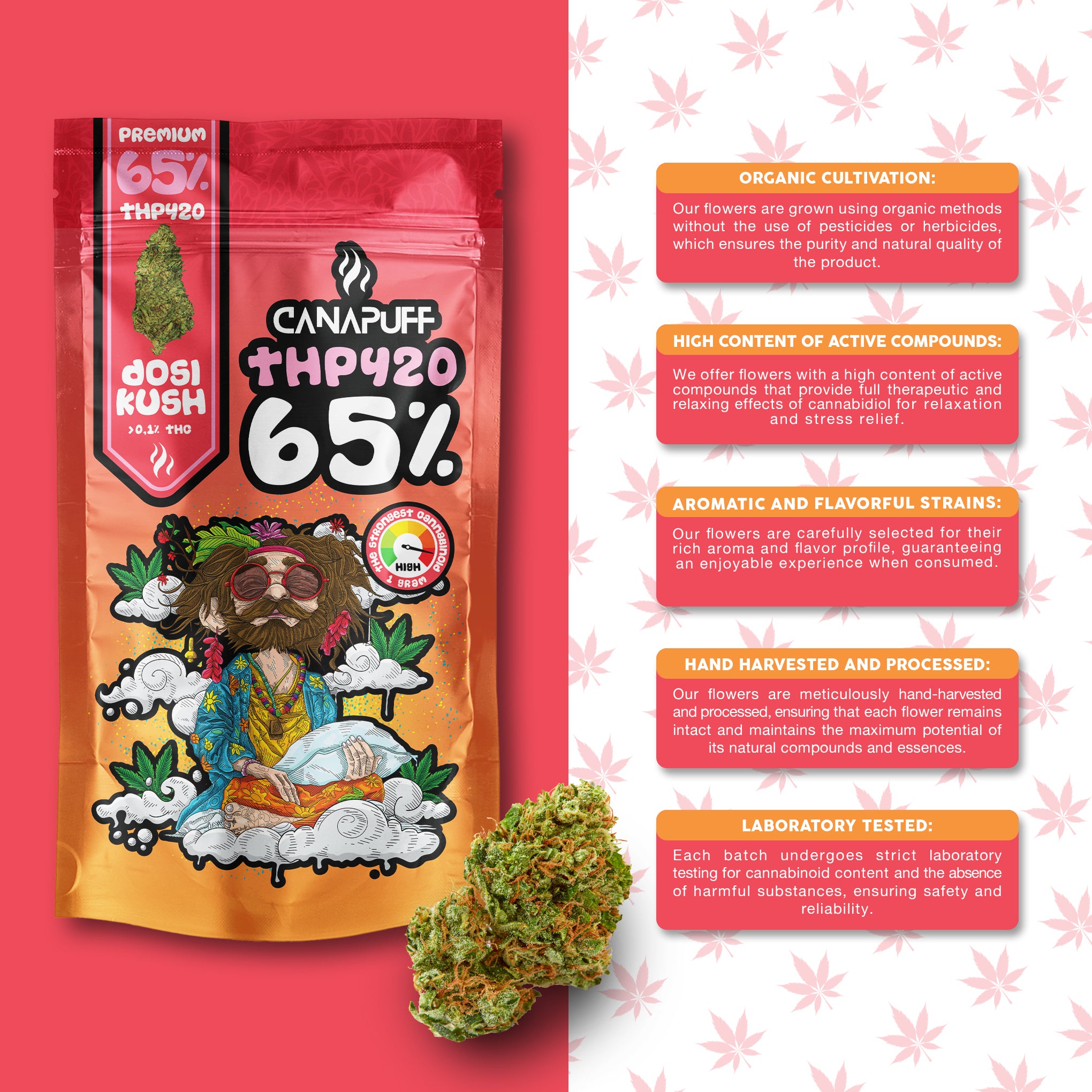 Canapuff - Dosi Kush 65% - THP420 Blüten
