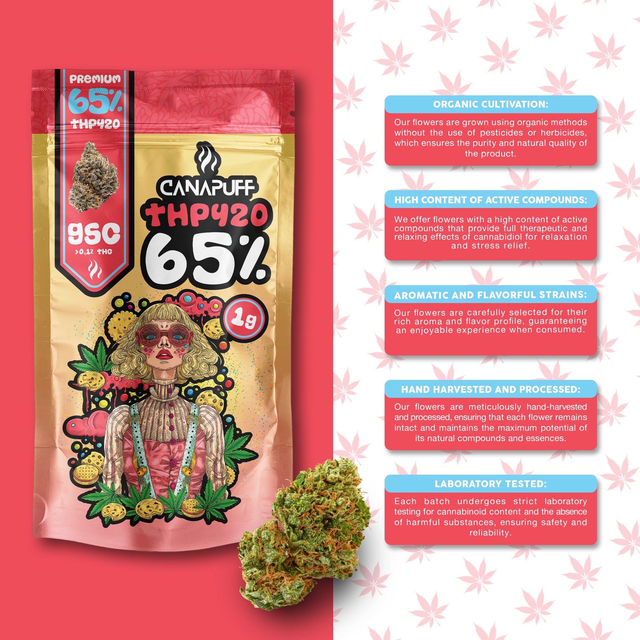 Canapuff - GSC 65% - THP420 Blüten
